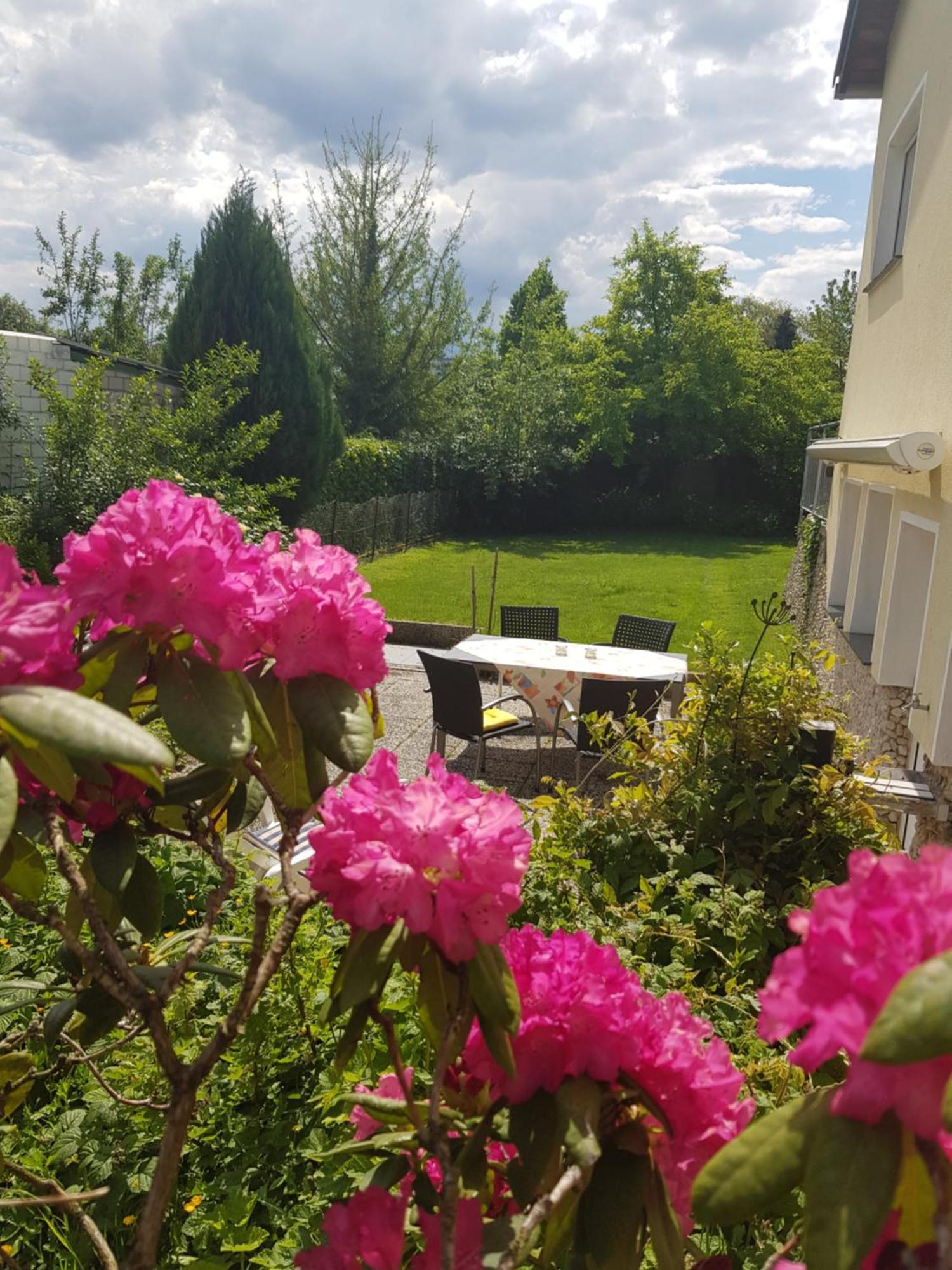 Ferienwohnung Im Rurtal Kreuzau Kültér fotó